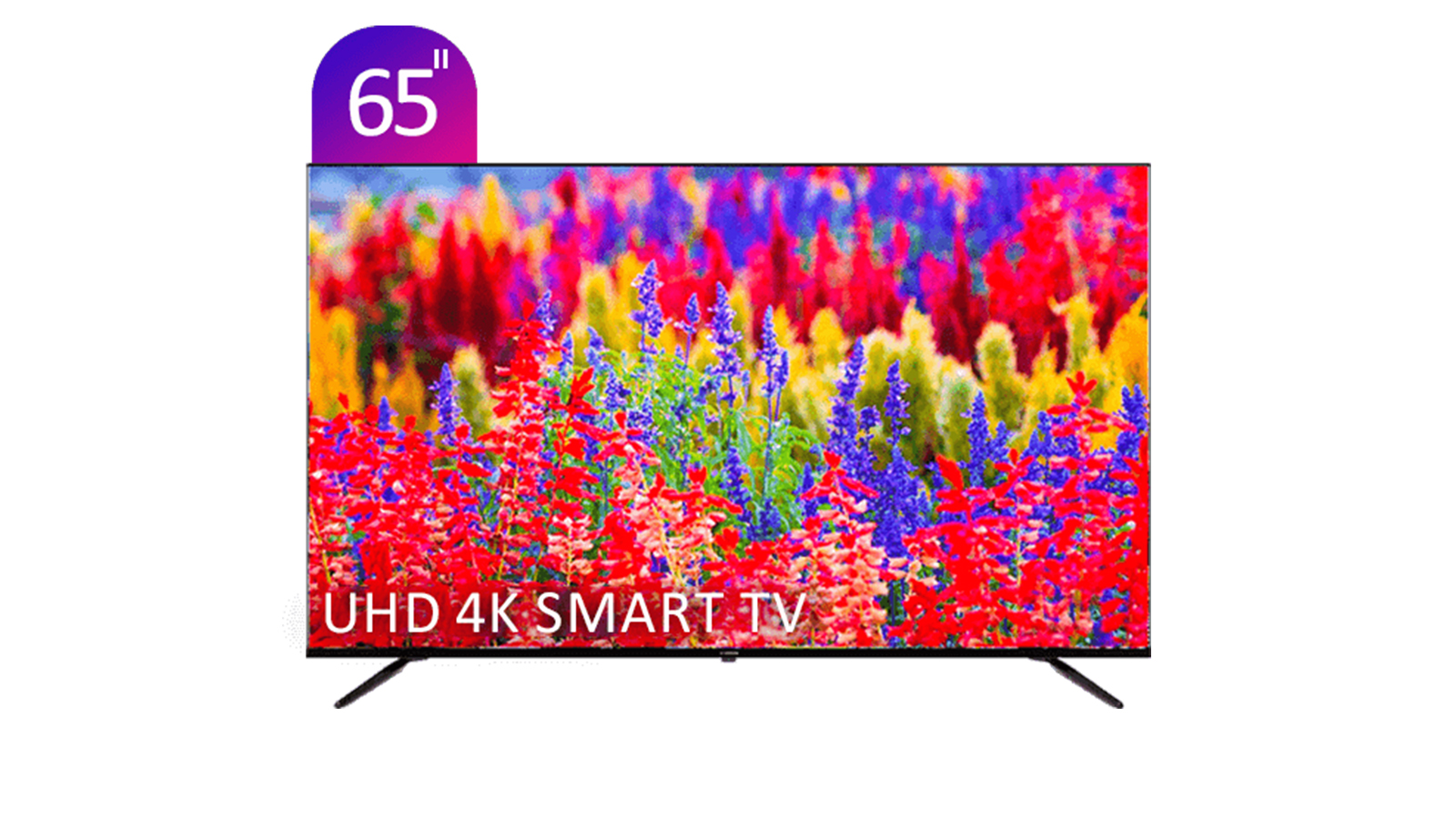 Tsco wall chaeger TTC 55